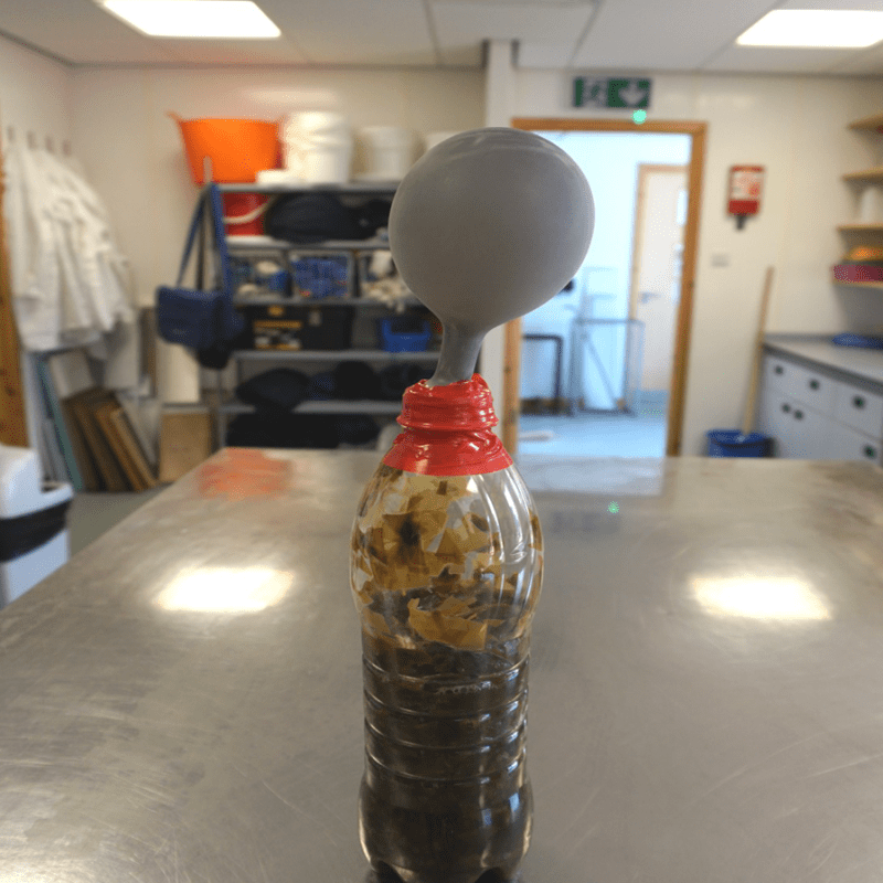 Summer Holiday Project #3- Make your own&nbsp;BIOGAS