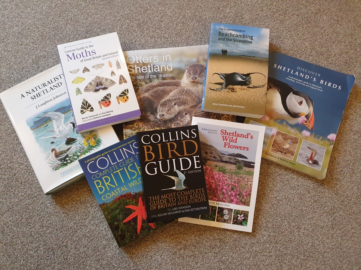 Books, books, books!